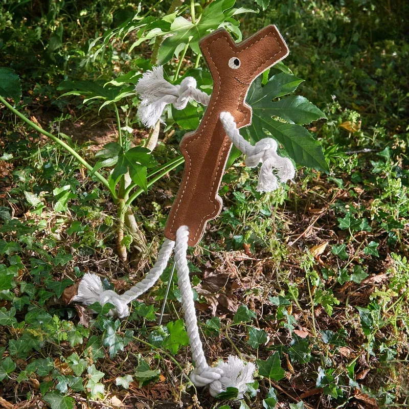 stick-man-green-wilds-eco-dog-toy Stick Man Green and Wilds Eco Dog Toy