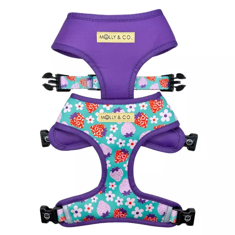 strawberry-reversible-dog-harness Strawberry – Reversible Dog Harness