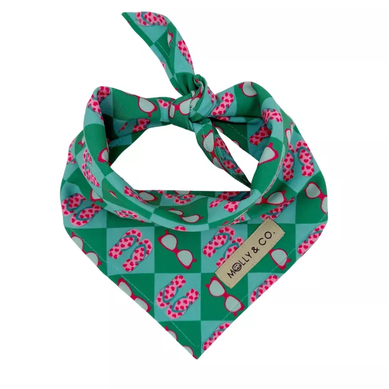 sunkissed-dog-bandana Sunkissed – Dog Bandana