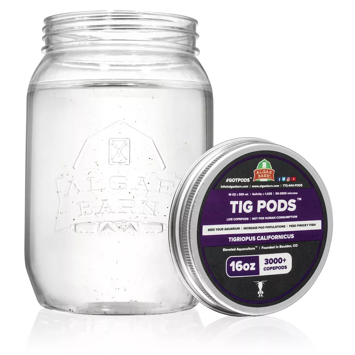 Tig Pods