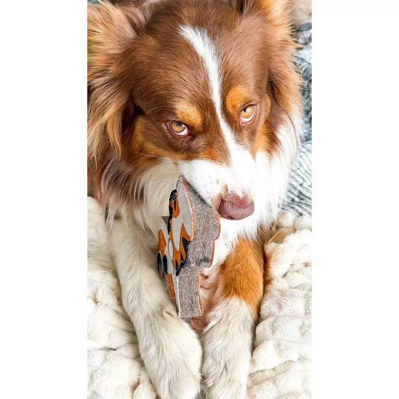 tina-tiger-aurora-paws-eco-dog-toy Tina the Tiger Aurora Paws Eco Dog Toy