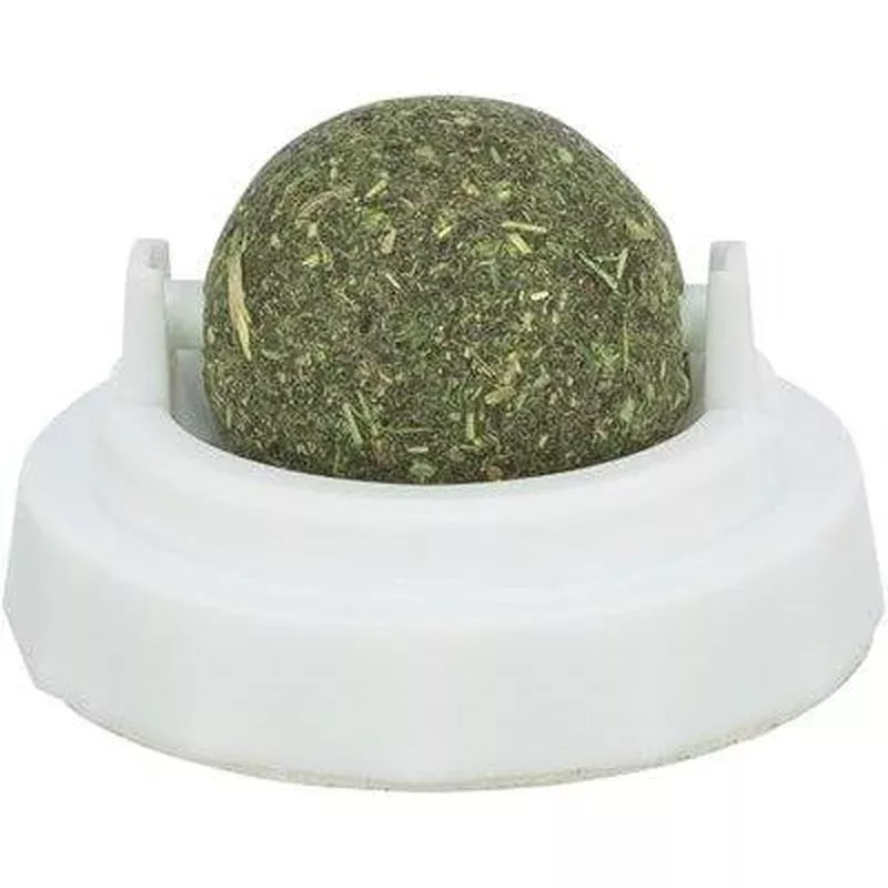 trixie-catnip-bal-met-houder-zelfklevend Trixie Catnip Bal Met Houder Zelfklevend