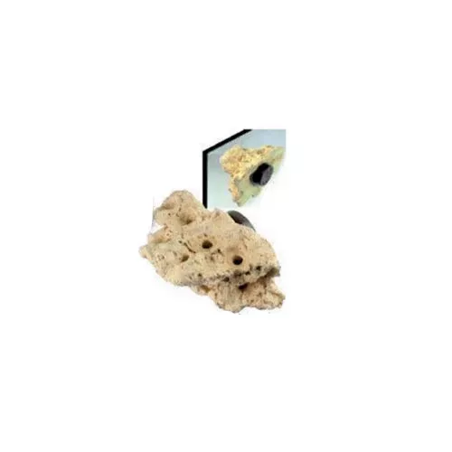 tunze-coral-rock-nano Tunze Coral Rock - Nano