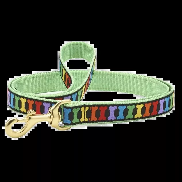 up-country-rainbone-dog-leash Up Country - Rainbone Dog Leash