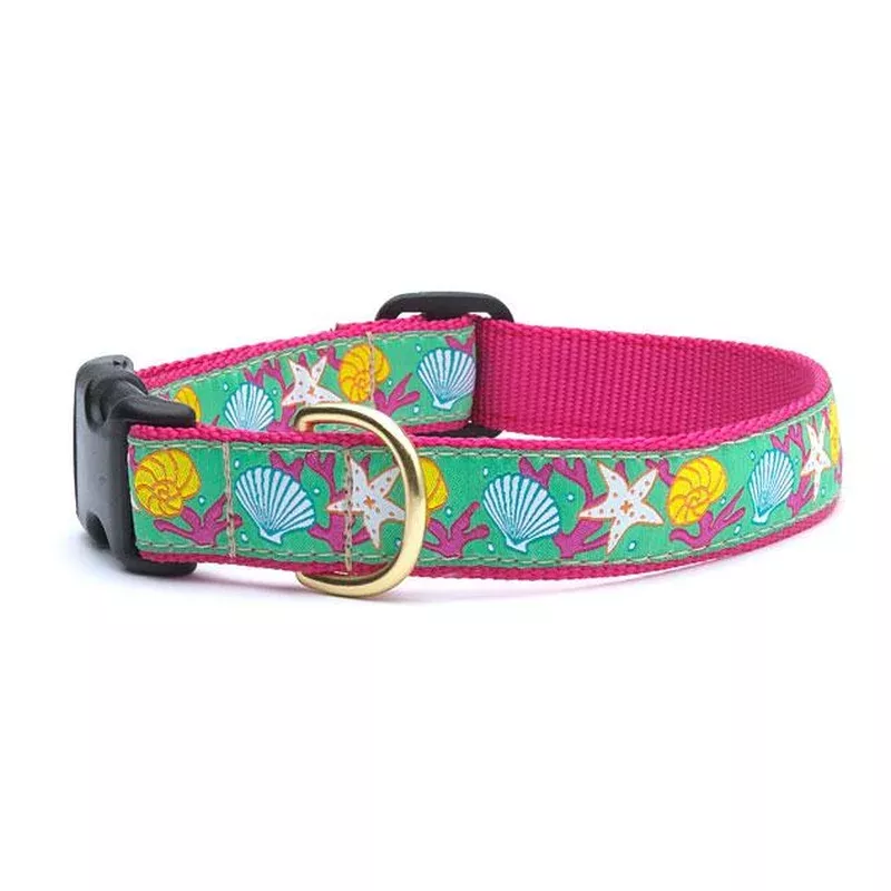 up-country-reef-cast-brass-dog-collar Up Country Reef Cast Brass Dog Collar