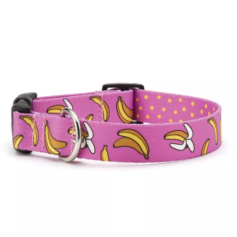 up-country-sport-go-bananas-collar-xl-wide Up Country Sport Go Bananas Collar XL Wide