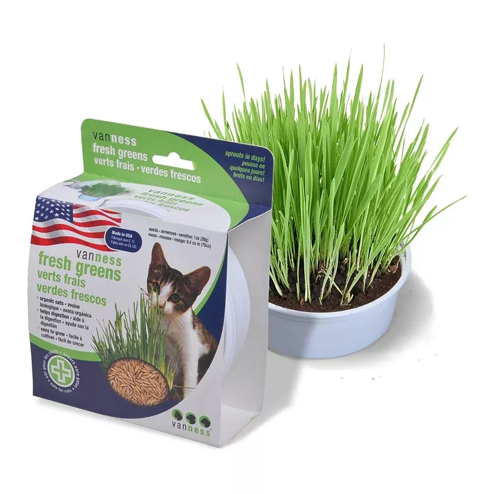 Van Ness - Fresh Greens Oat Garden Kit