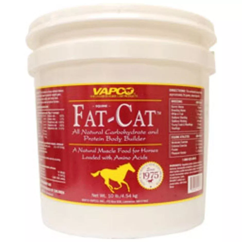 vapco-fat-cat-protein-body-builder VAPCO FAT-CAT PROTEIN BODY BUILDER