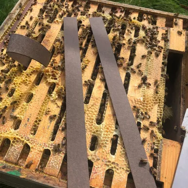 VarroxSan, 60 pack