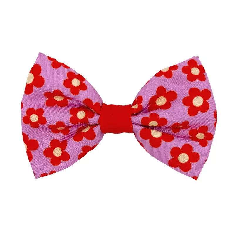 wildflower-dog-bowtie Wildflower – Dog Bowtie