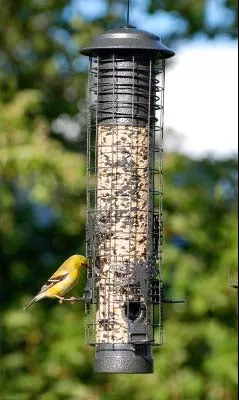 woodlink-large-dragonfly-tube-feeder WoodLink Large Dragonfly Tube Feeder