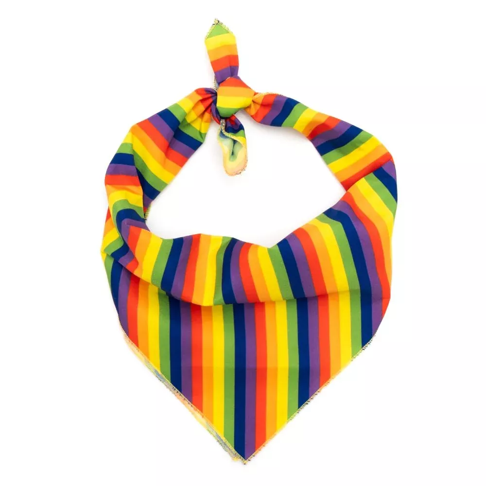 worthy-dog-rainbow-bandanas The Worthy Dog - Rainbow Bandanas