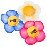 yeowww-daisy-s-flower-tops-cat-toys Yeowww! Daisy's Flower Tops Cat Toys