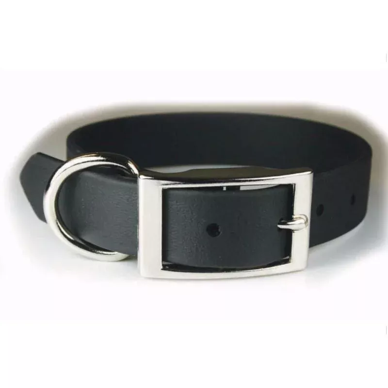 zeta-poly-vinyl-coated-dog-collar Zeta Poly Vinyl Coated Dog Collar