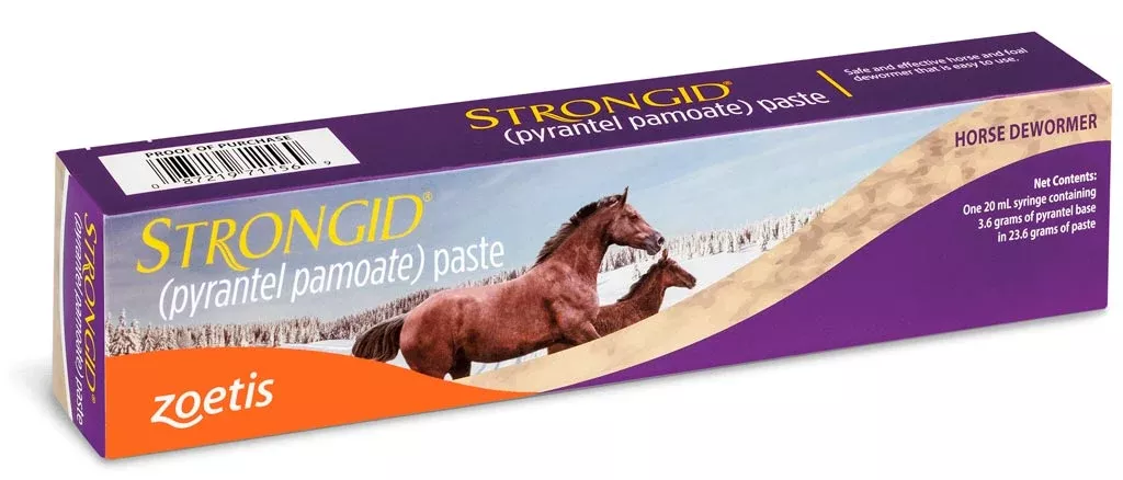 Zoetis STRONGID PASTE